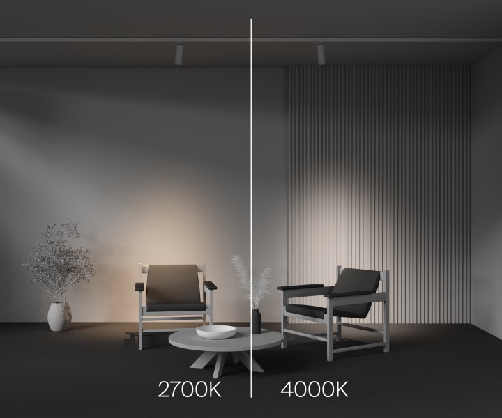 Трековый светильник Technical TR198-3-20W2.7K-Z-W