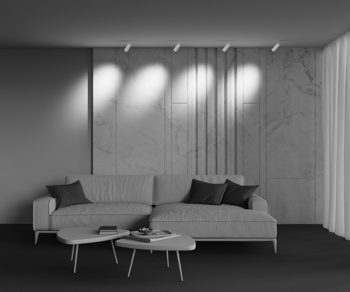 Трековый светильник Technical TR212-4-12WTW-Z-DSZ-W