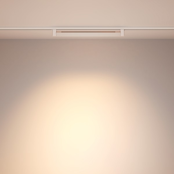 Трековый светильник Technical TR010-1-20W3K-M-W