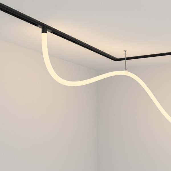 Трековый подвесной светильник Technical TR101-2-50W3K-B