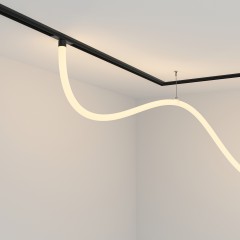 Трековый подвесной светильник Technical TR101-2-50W3K-B