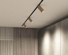 DK8020-BG Акцентный светильник SMART SPOT 20W DIM 3000K-6000K, матовое золото с черным